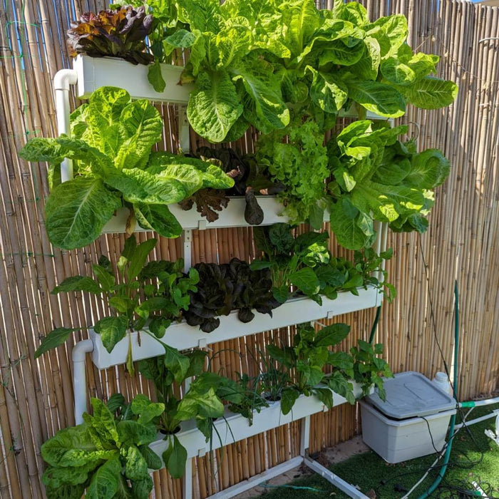 What is the easiest way to start a vertical garden at home?