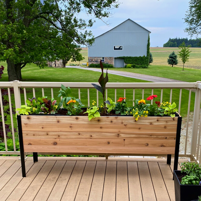 New Arrivals at Green Earth Direct