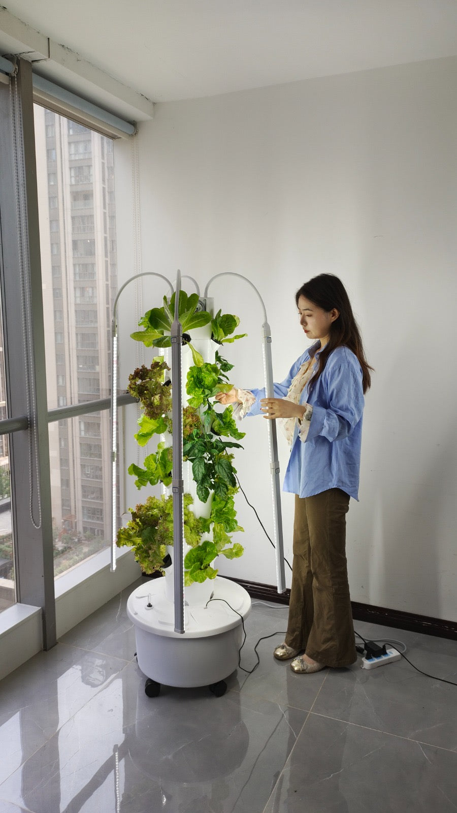 Vertical Gardens