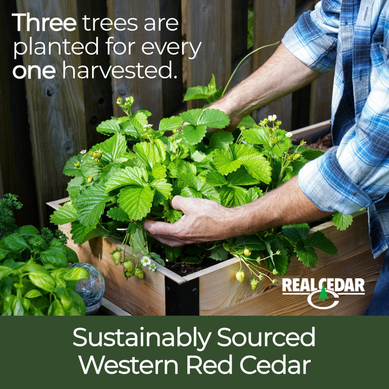 Cedar Planter - 18" x 72" Raised Garden Bed - 30" TALL / Select Grade