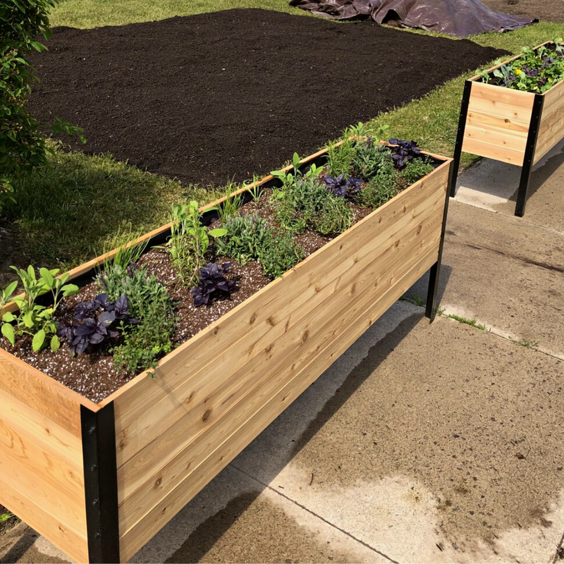 Cedar Planter - 18" x 72" Raised Garden Bed - 30" TALL / Select Grade