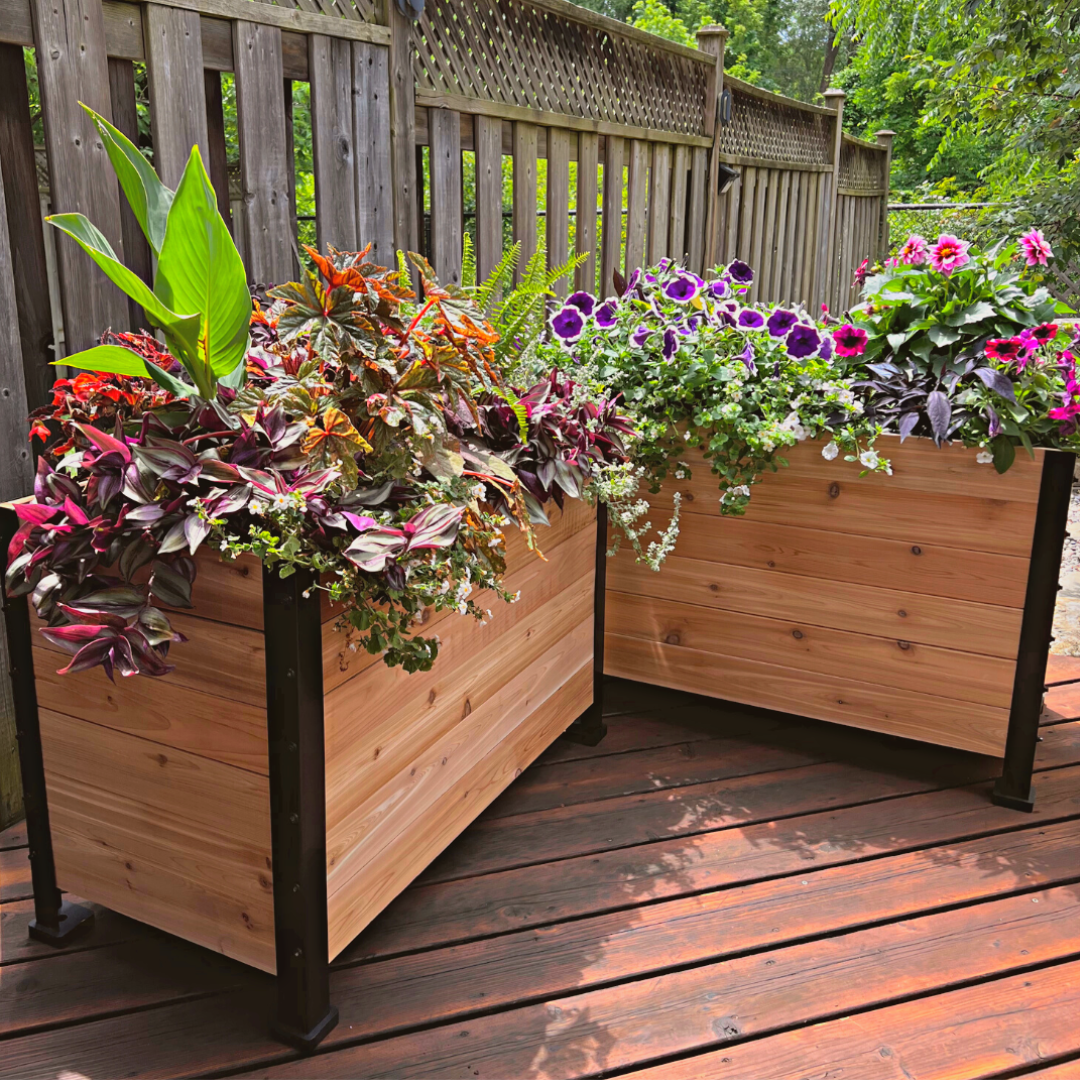 Raised bed & Garden boxes