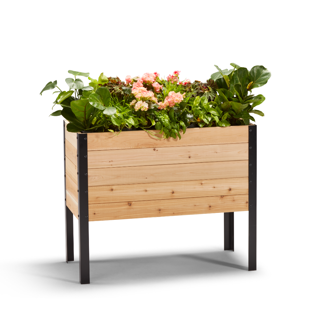 Raised bed & Garden boxes