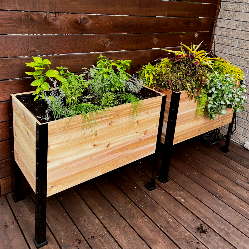 Cedar Planter - 18" x 36" Raised Garden Bed - 30" TALL/ Select Grade