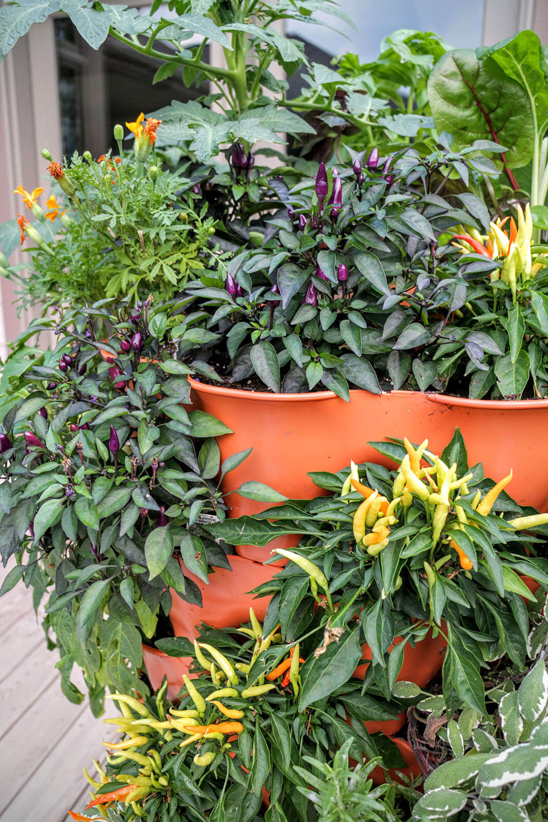 Garden Tower 2™, 50-Plant Composting Vertical Garden Planter (Dropship)