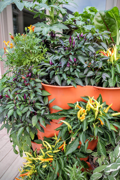 Garden Tower 2™, 50-Plant Composting Vertical Garden Planter (Dropship)