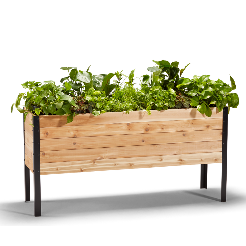 Cedar Planter - 18" x 60" Raised Garden Bed - 30" TALL / Select Grade