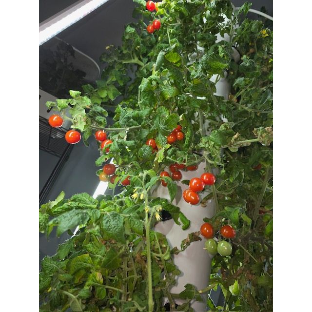 LYINE 5P8 Hydroponic Smart System Grow Tower | 40 Plants & LED Lights
