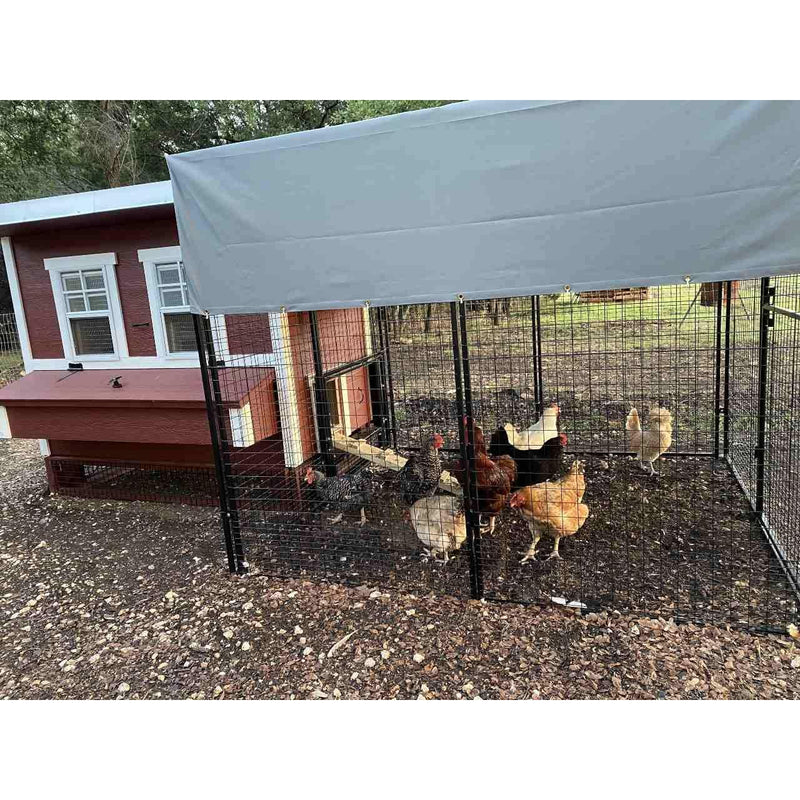 Walk-In 8 ft. Chicken Run (6'6"W x 7'6"L x 6'3"H)