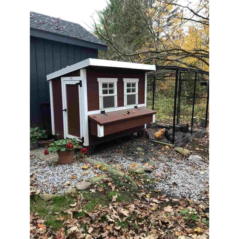 Walk-In 8 ft. Chicken Run (6'6"W x 7'6"L x 6'3"H)