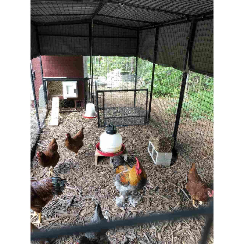Walk-In 15 ft. Chicken Run (6'6"W x 15'L x 6'3"H)