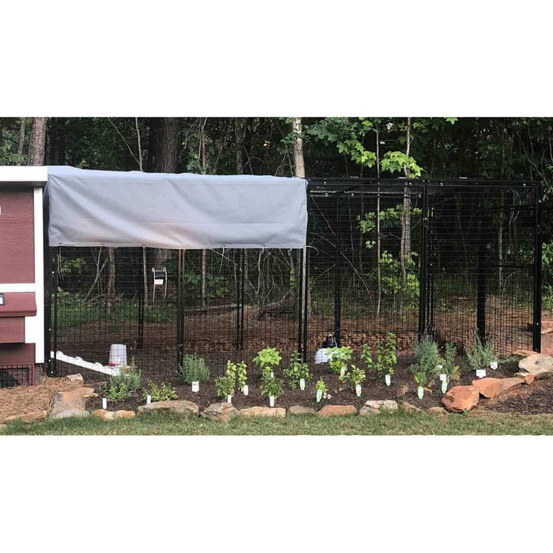 Walk-In 15 ft. Chicken Run (6'6"W x 15'L x 6'3"H)