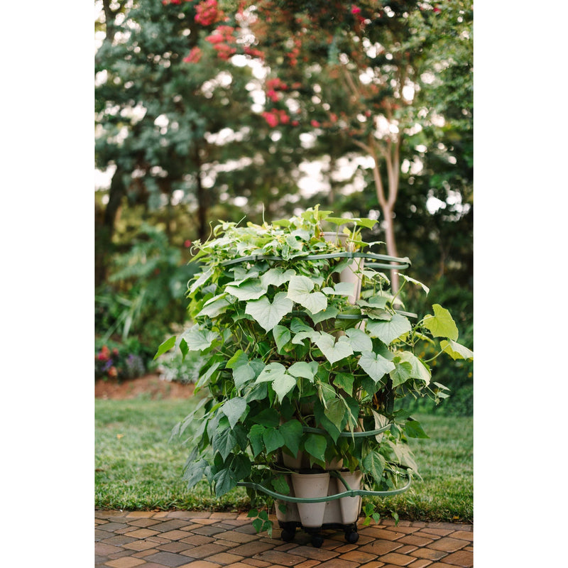 GreenStalk Mover – Wheeled Base for Vertical Planters