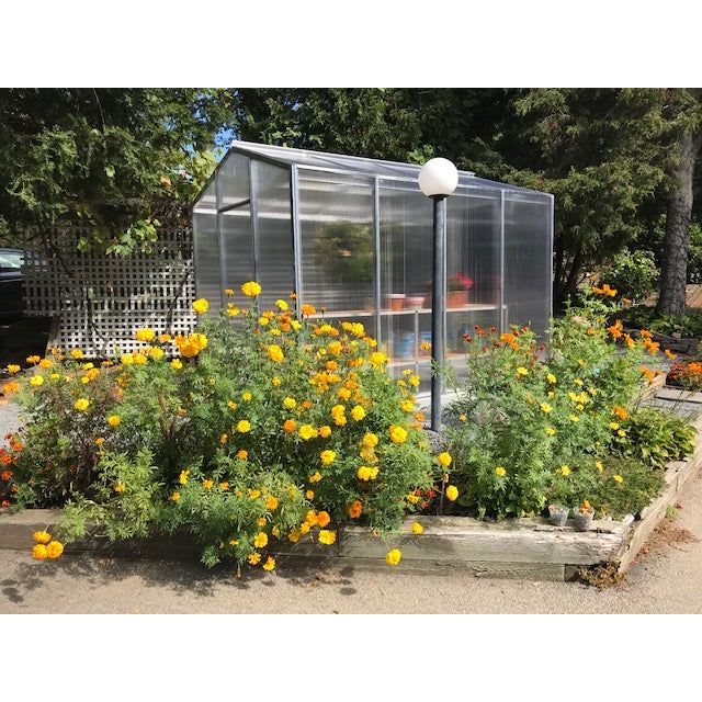 Janco Palmetto Greenhouse 8' x 10'