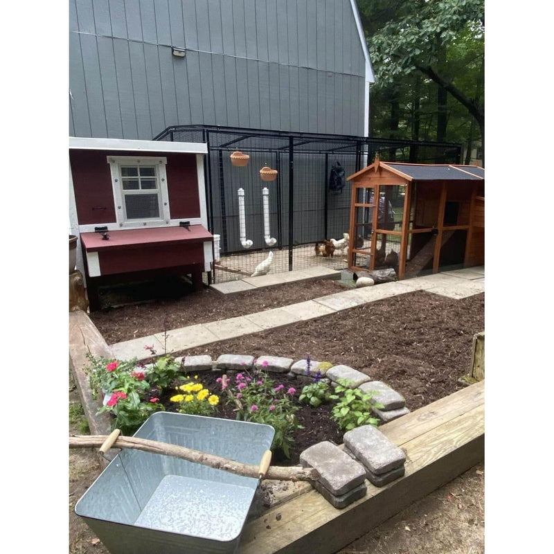 Medium Chicken Coop - Up to 10 Chickens