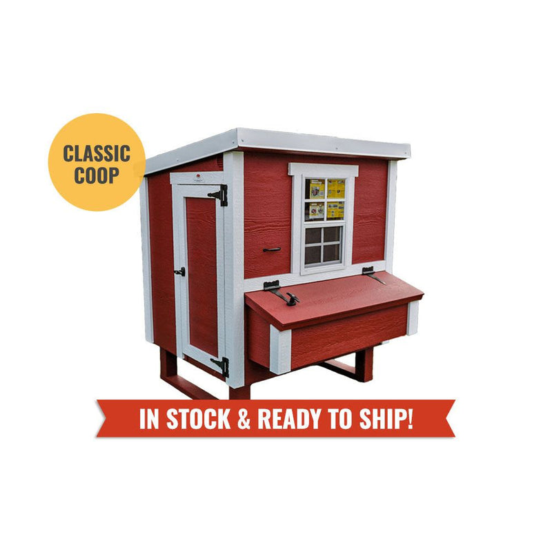 Medium Chicken Coop - Up to 10 Chickens