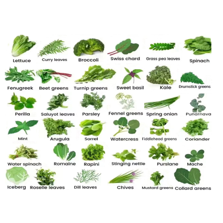 LYINE 5P8 Hydroponic Smart System Grow Tower | 40 Plants & LED Lights