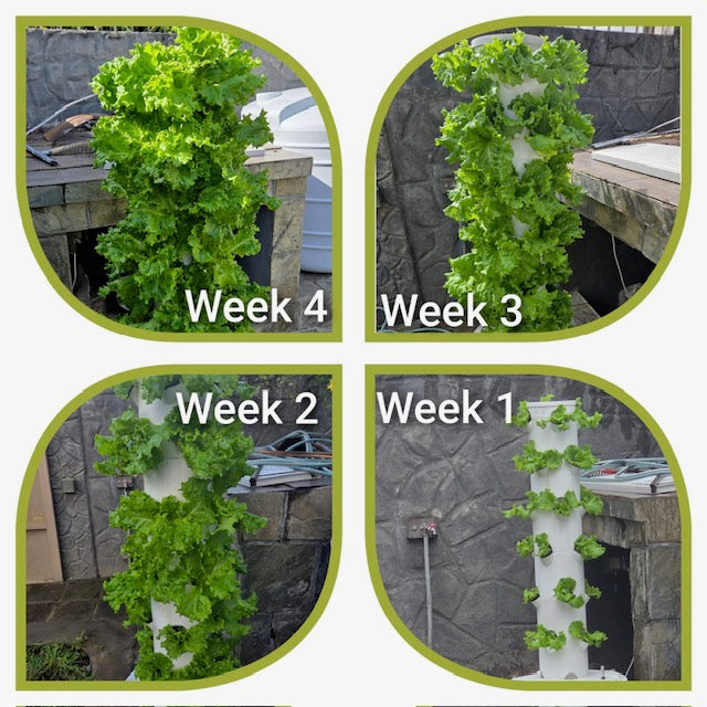 LYINE 5P8 Hydroponic Smart System Grow Tower | 40 Plants & LED Lights