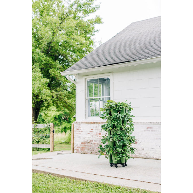 GreenStalk Mover – Wheeled Base for Vertical Planters