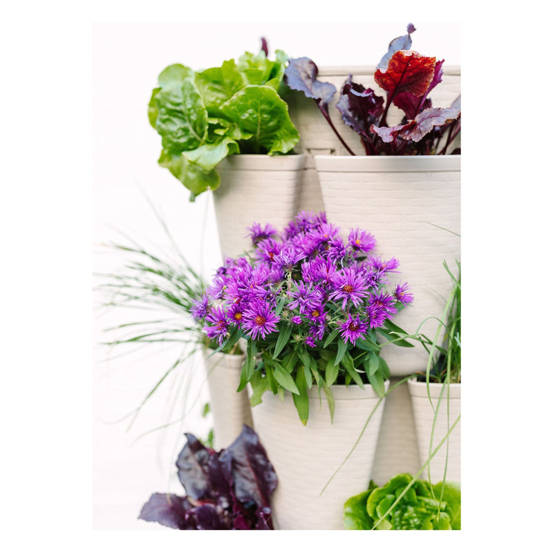 GreenStalk Original 5-Tier Vertical Garden Planter | 30 Pocket Vertical Growing System