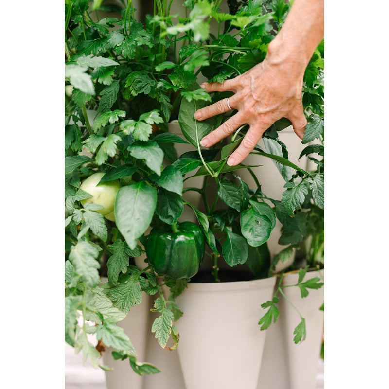 Greenstalk 5 Tier Garden Vertical Planter - 30 pocket growing system - Basket Texture
