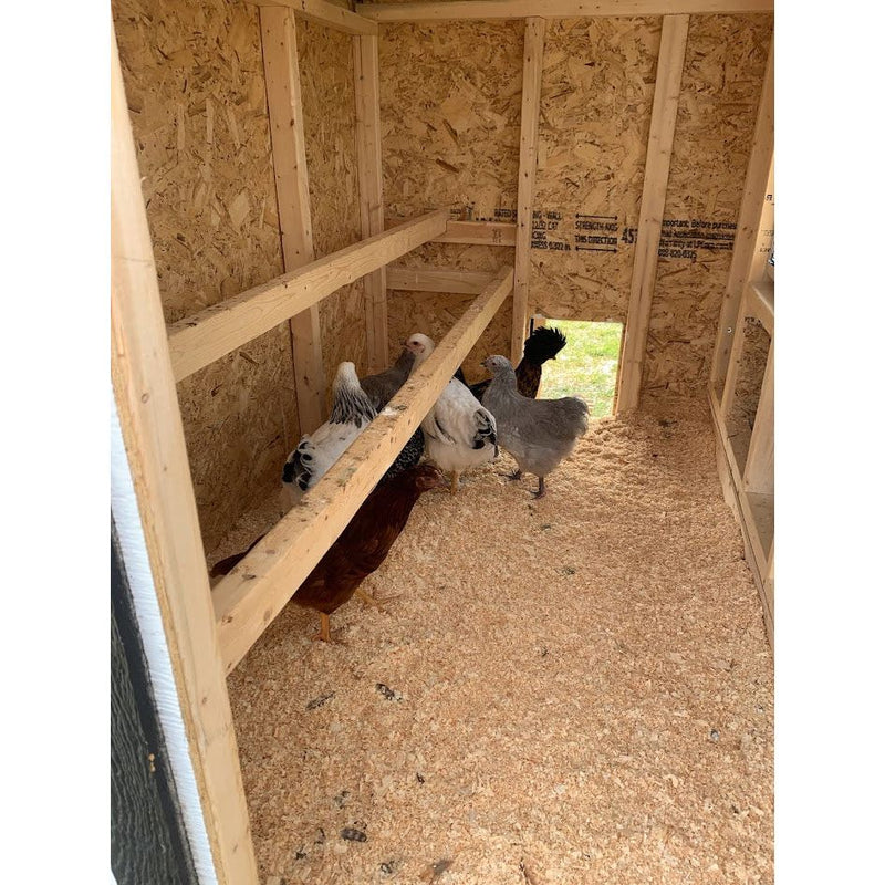 Large Chicken Coop - Up to 15 Chickens