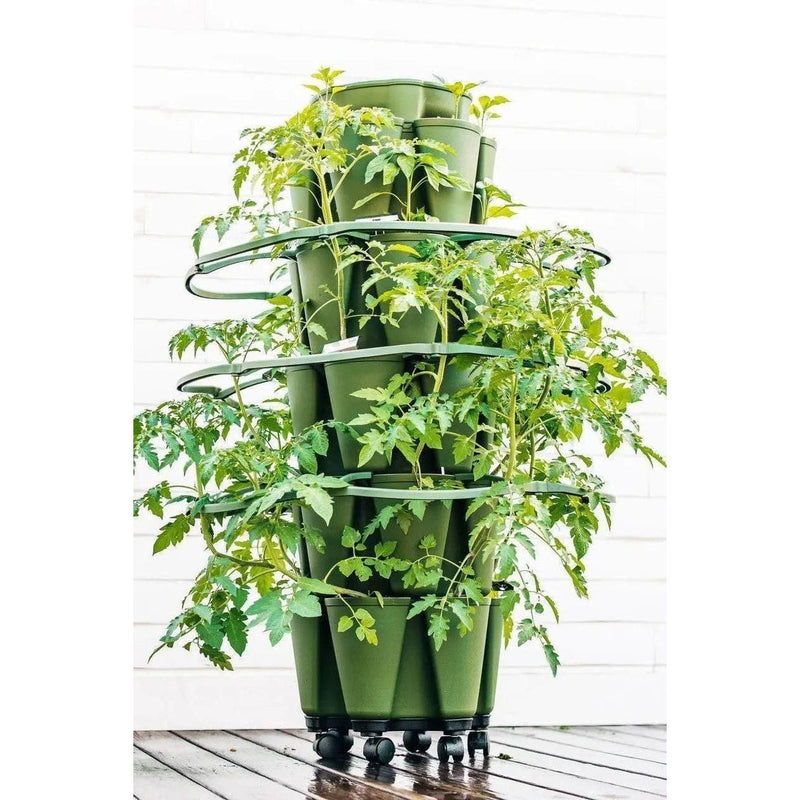 GreenStalk Garden Plant Support (Set of 3)