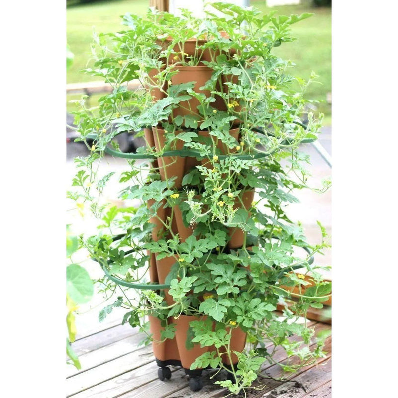 GreenStalk Garden Plant Support (Set of 3)