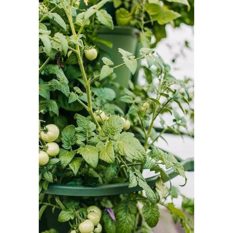 GreenStalk Garden Plant Support (Set of 3)