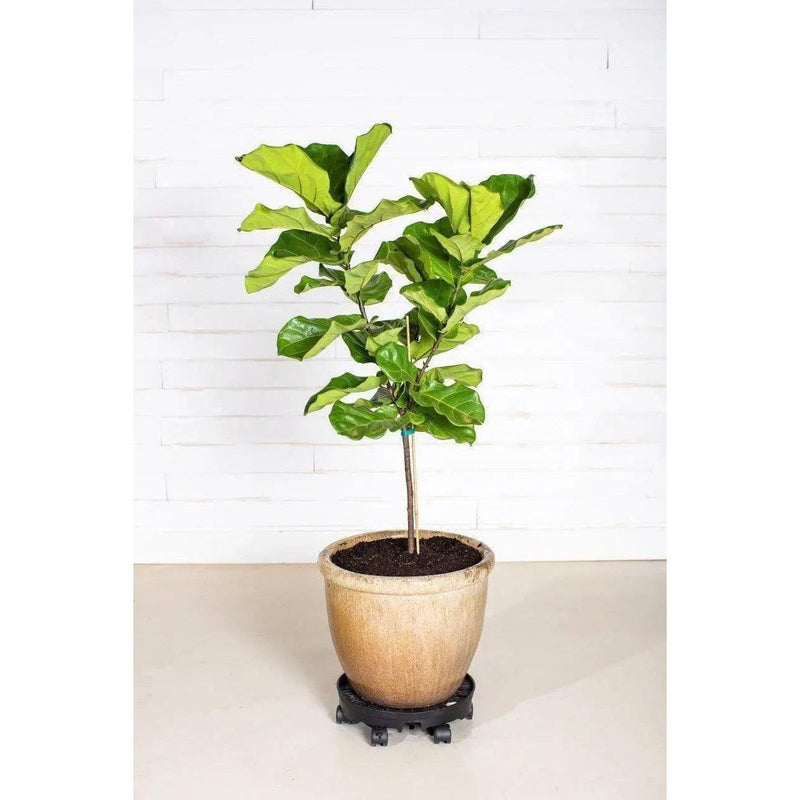 Vertical Garden Ultimate Spinner Base With Wheel Kit