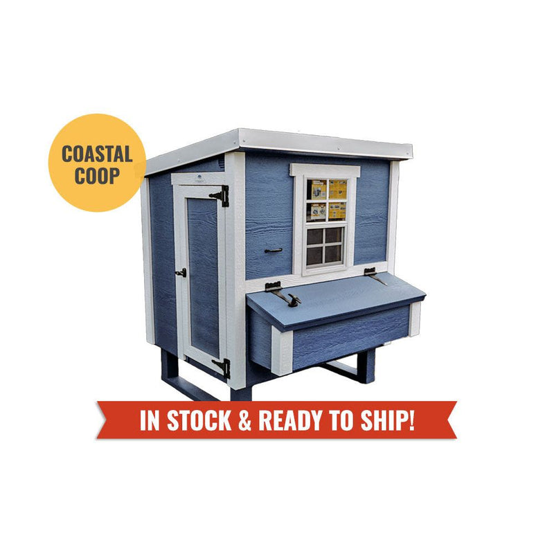 Medium Chicken Coop - Up to 10 Chickens