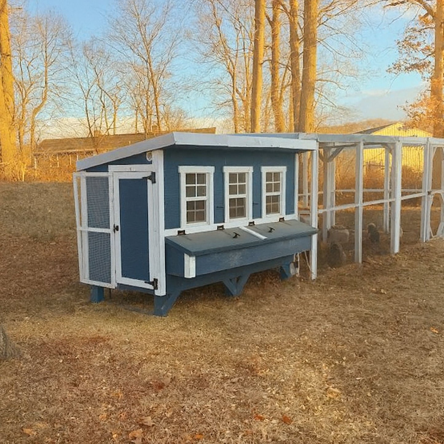 XL Chicken Coop - Up to 20 Chickens