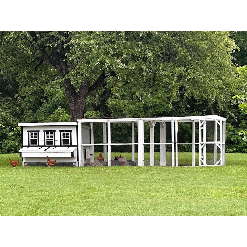 XL Chicken Coop - Up to 20 Chickens